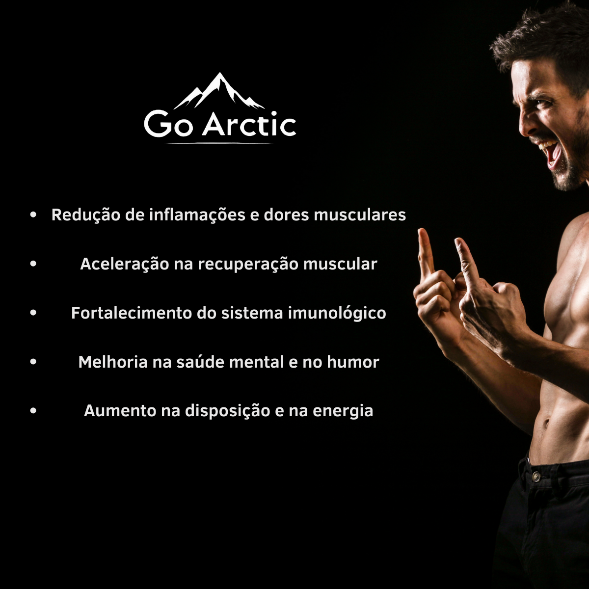 Banheira Go Arctic Large